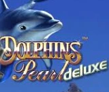 Dolphin's Pearl at SpinFin