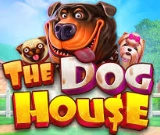 The Dog House Megaways at SpinFin