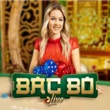 Bac Bo at SpinFin