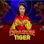 Dragon Tiger Live at SpinFin