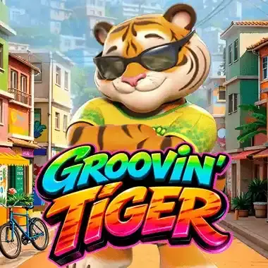 Grooving Tiger at SpinFin