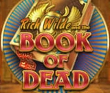 Book of Dead at SpinFin